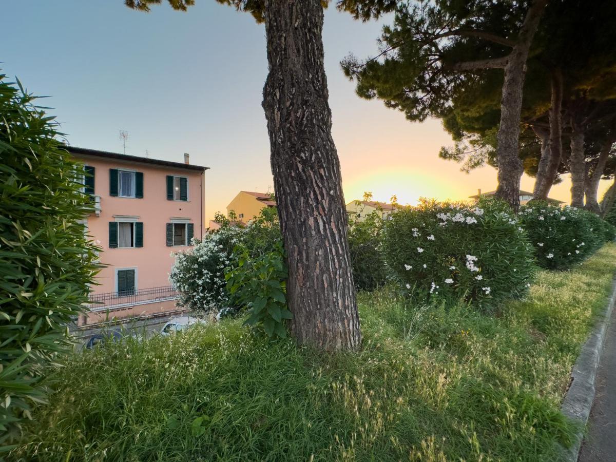 La Casa Di Eli Appartamenti Pisa Exterior photo